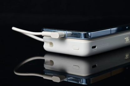 Xiaomi Magnetic Power Bank