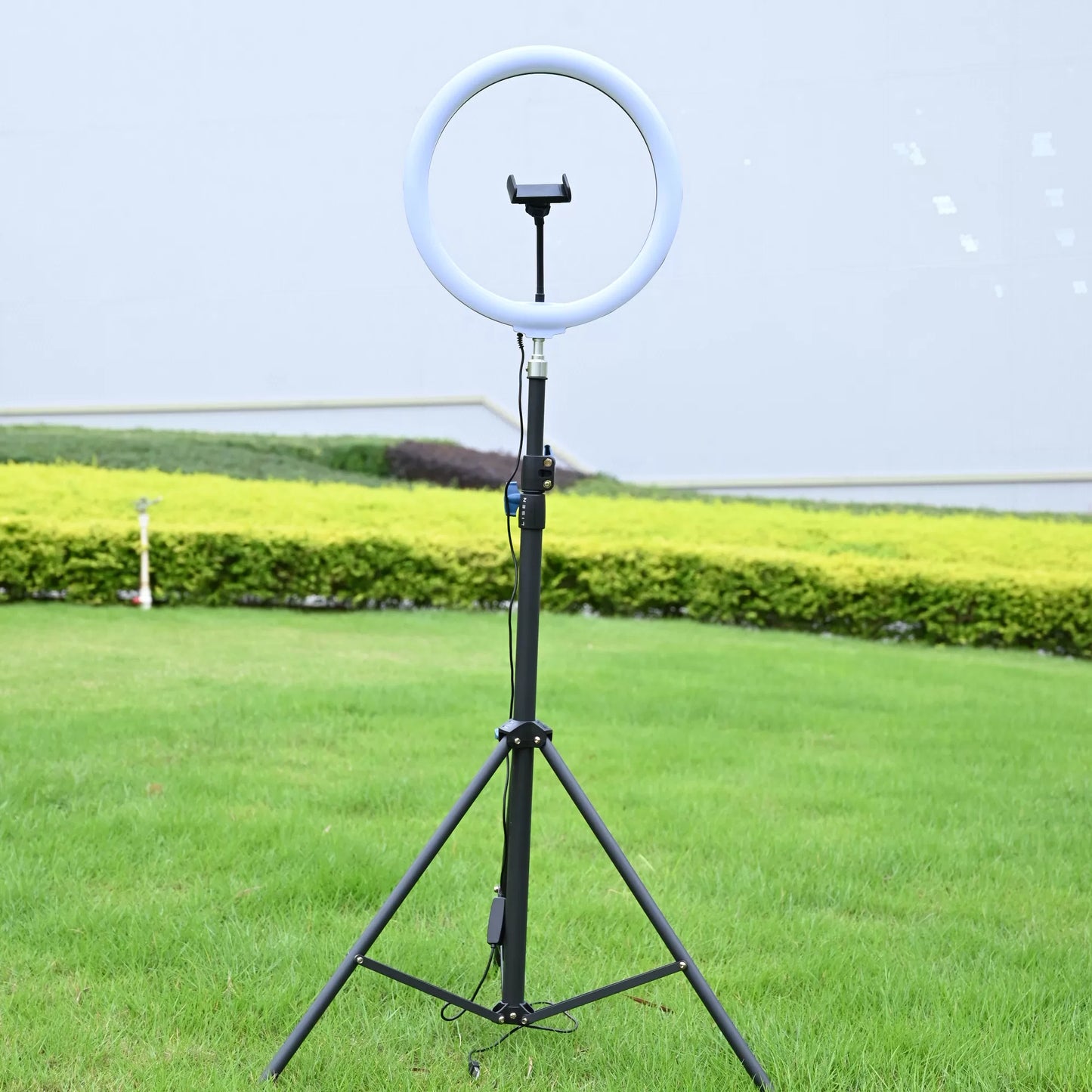 LED Ring Light with Adjustable Floor Tripod for Live Streaming - Ring Light+Floor Tripod